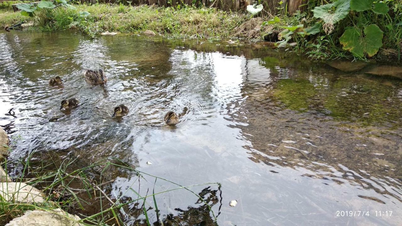 Отель Plitvice Streaming Prijeboj Экстерьер фото